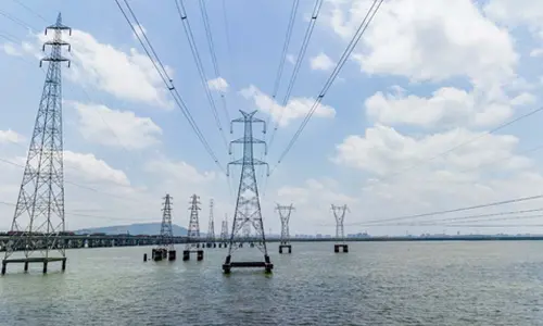 Investment in extensive grid infra key to achieve net zero emissions by 2070: Eco Survey