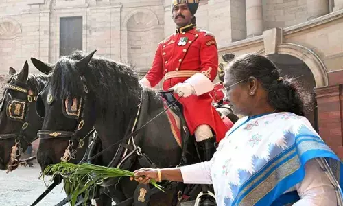 Reform, perform, transform strong pillars of growth: Prez