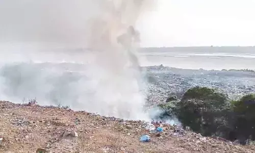 The Stench Of Apathy: Trash burning on Godavari banks ups health risks