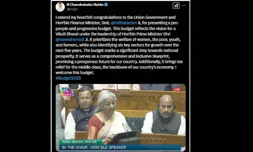 CM, Pawan hail budget: ‘Pro-people’, ‘progressive’