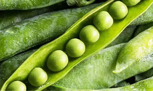 Why Green Peas Are a Must-Have in Your Winter Diet?