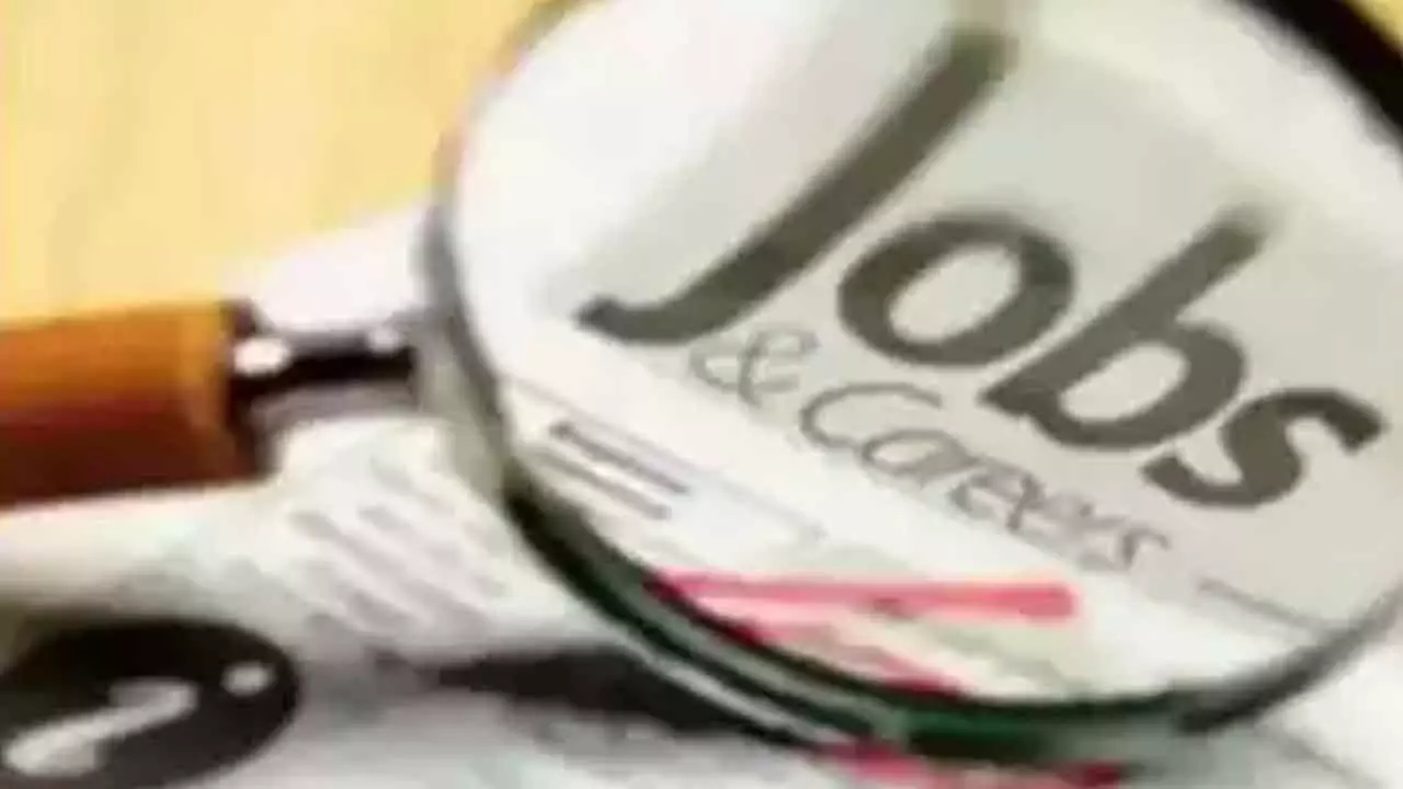 Govt tells HC it will appoint 1,382 contract teachers Govt tells HC it will appoint 1,382 contract teachers