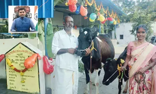 Farmers benefit with Gokulam sheds in Annamayya dist