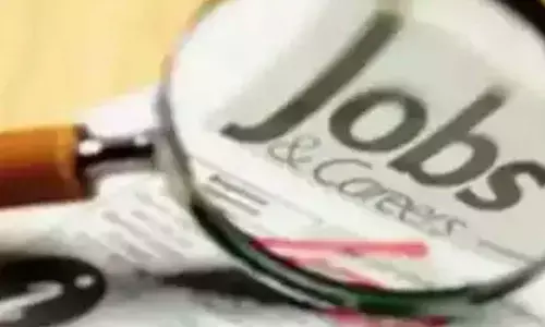 Govt tells HC it will appoint 1,382 contract teachers