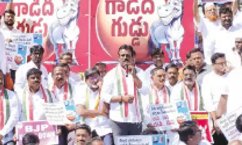 Cong protests over measly allocations