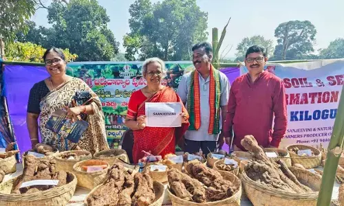 Mission to save indigenous seeds in Andhra Pradesh
