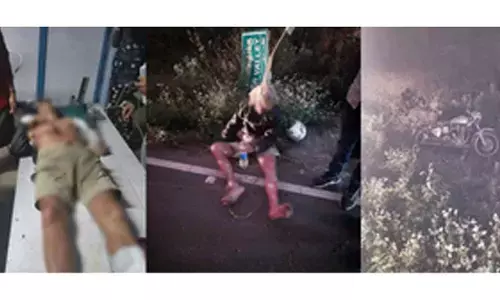 TN forest dept increases patrolling in Valparai after German tourist killed in wild elephant attack