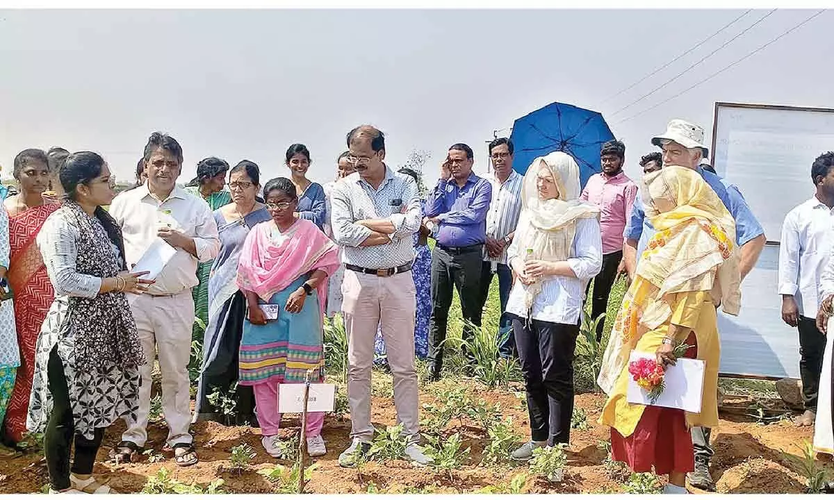 German bank team visits natural farming fields in YSR dist