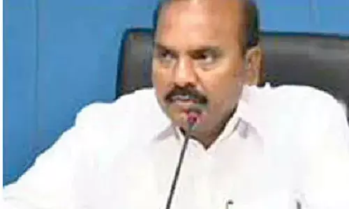 Chilli Board sought to get better price for farmers