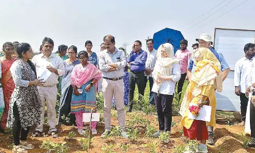 German bank team visits natural farming fields, enquire of benefits
