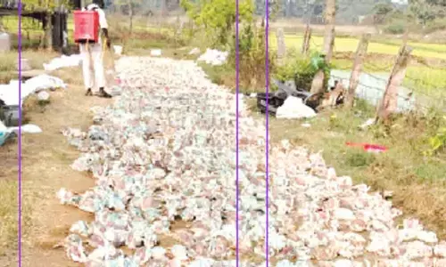 Ranikhet disease hits poultry farms