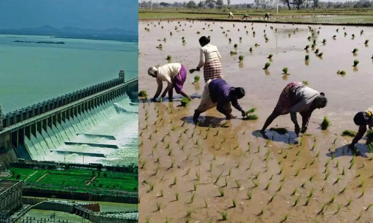Tungabhadra reservoir’s water crisis raises concerns for farmers Tungabhadra reservoir’s water crisis raises concerns for farmers