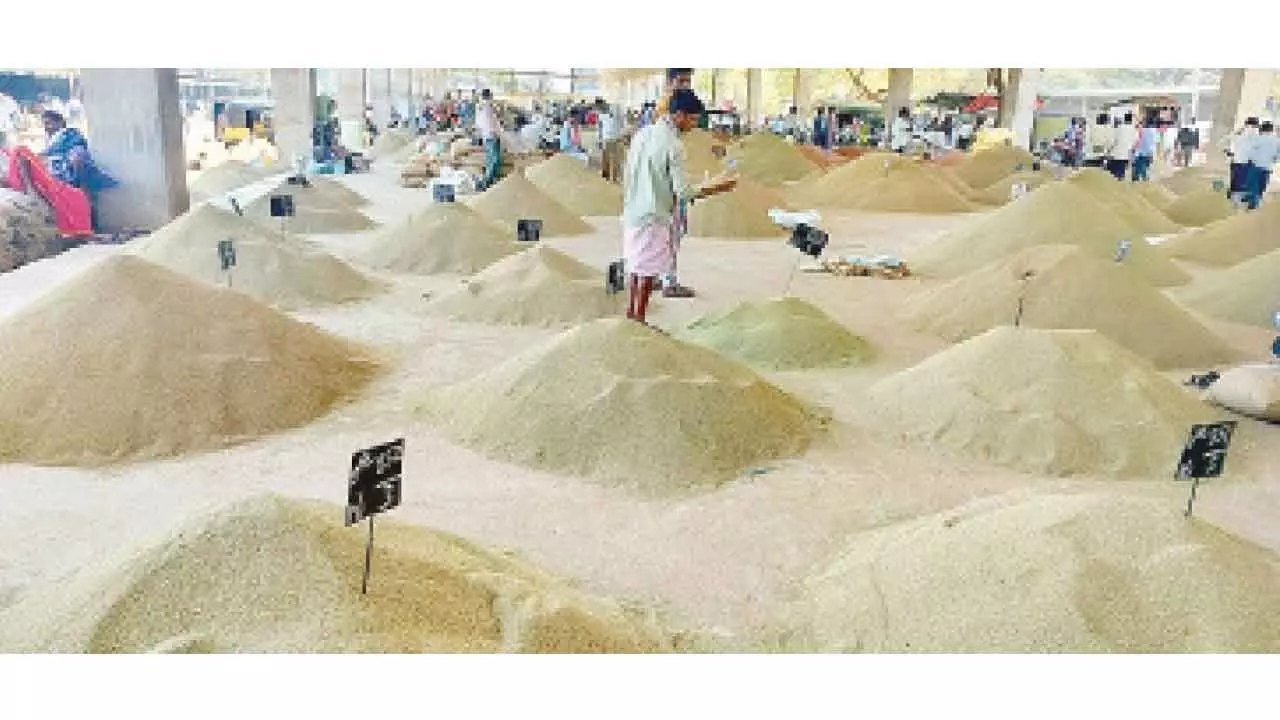 Ajwain market thrives in Kurnool