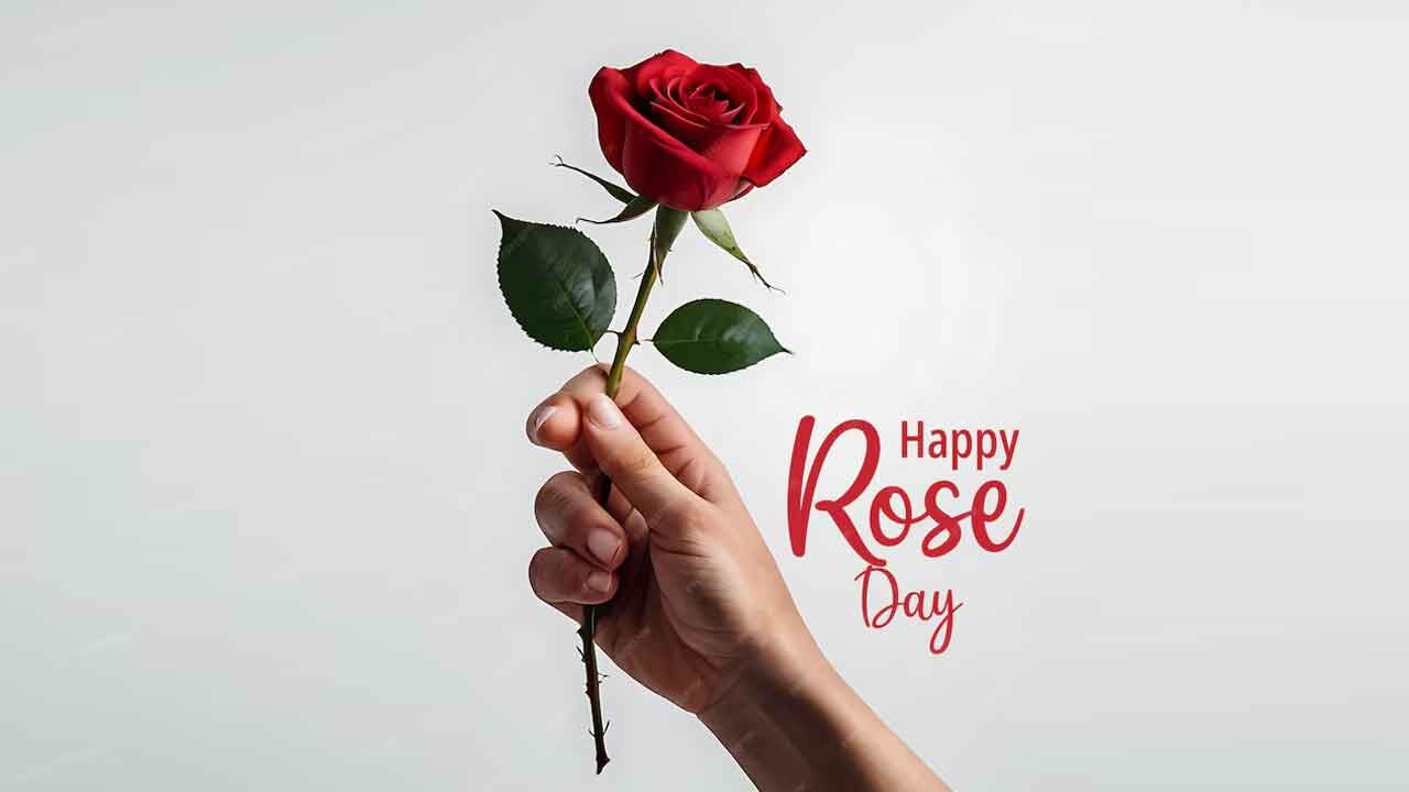 Rose Day 2025: History, Significance, and Meaning of Different Rose Colours