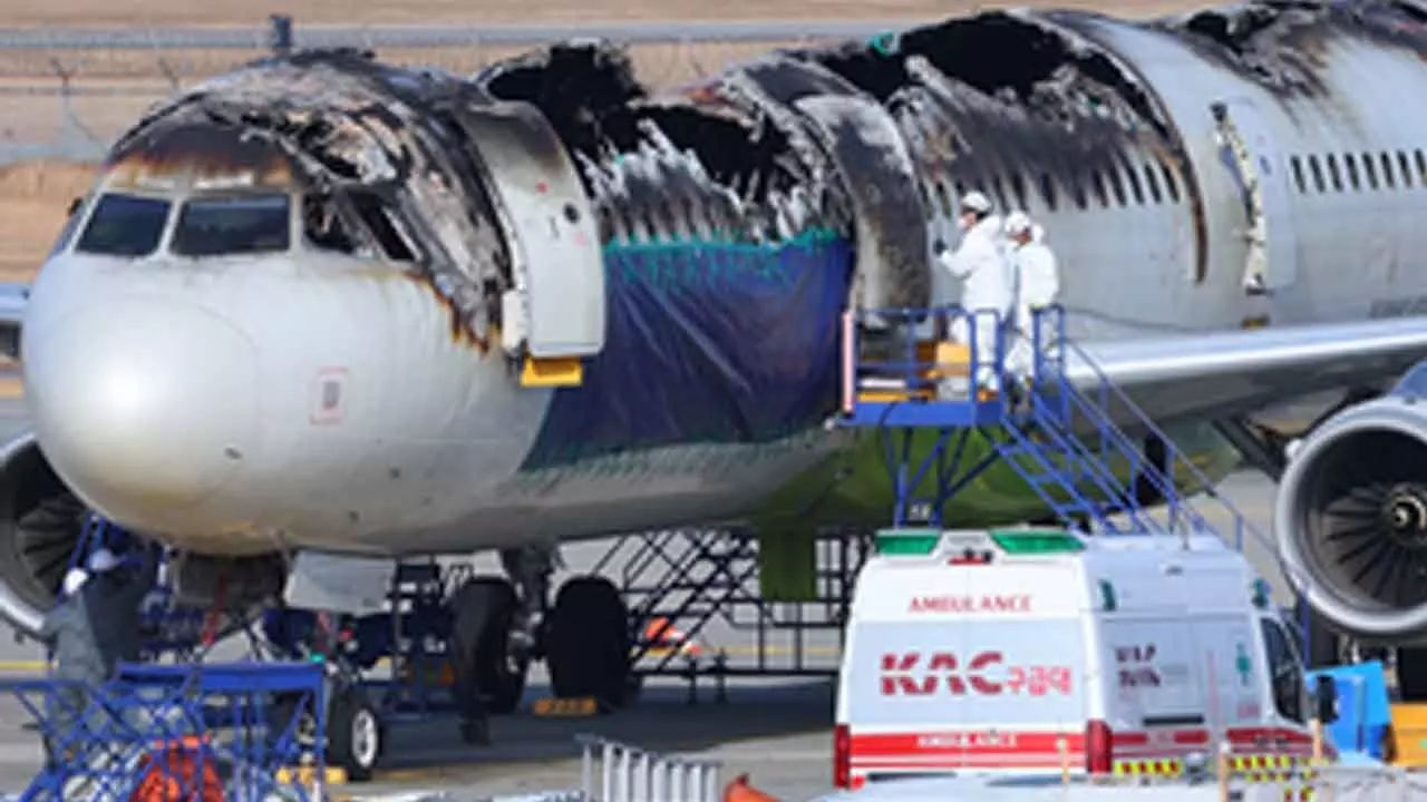 South Korea: Police raid Gimhae International Airport over Air Busan plane destroyed by fire South Korea: Police raid Gimhae International Airport over Air Busan plane destroyed by fire