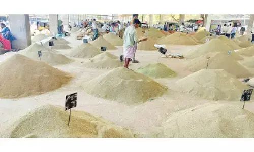Ajwain market thrives in Kurnool