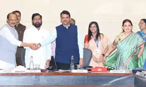 Maha launches portal to make investment process hassle-free