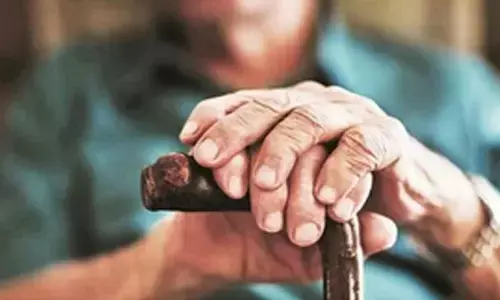 Study shows how PM2.5 raises health, economic costs for elderly