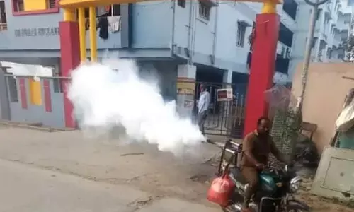 SMC launched mosquito preventive measures