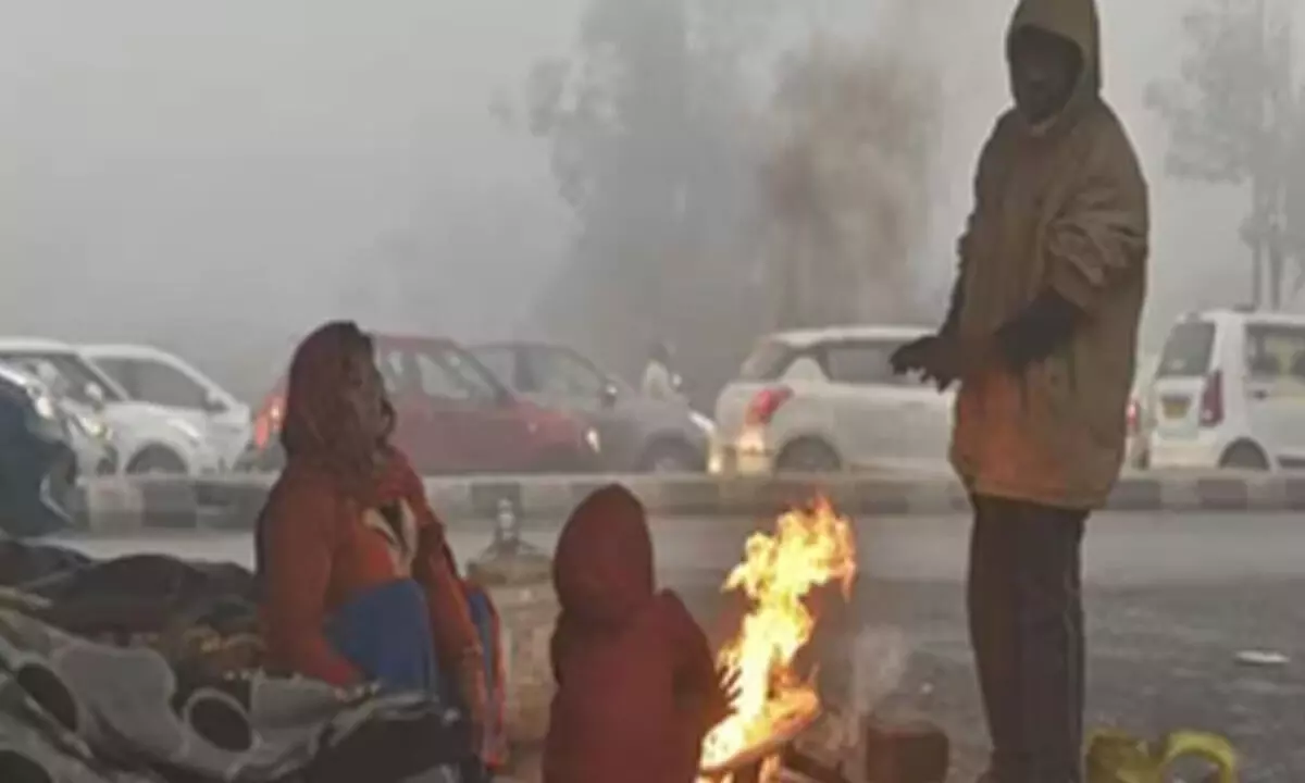 Cold wave persists in Rajasthan due to northern winds; Fatehpur shivers at 3.2 degree Celsius Cold wave persists in Rajasthan due to northern winds; Fatehpur shivers at 3.2 degree Celsius