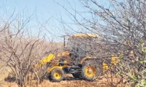 Forest department’s activities disrupt wildlife serenity