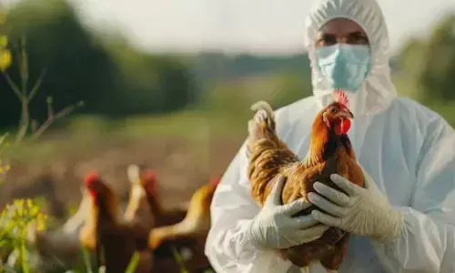 Bird flu has arrived in State?