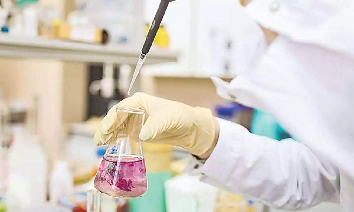 New initiative to make students job ready in pharma sector New initiative to make students job ready in pharma sector