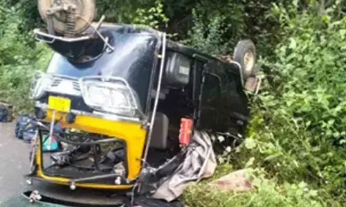16 sustain minor injuries as auto overturns