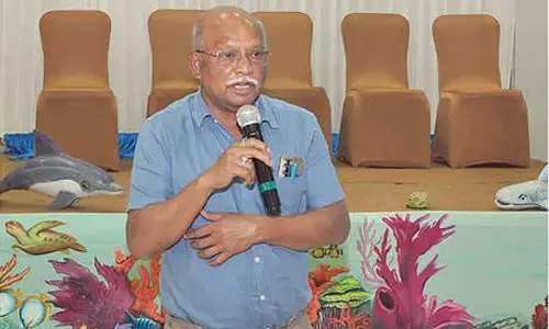 People’s support sought for protection of sea turtles