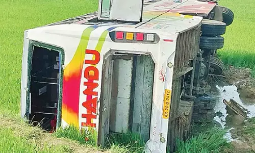 Bus overturns in farmlands