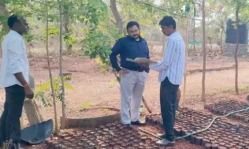 Addl Collector inspects nursery, checks plants grown for Vanamahotsavam programme