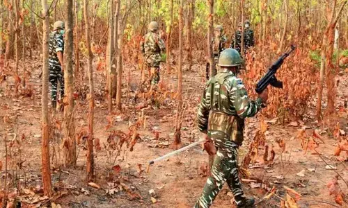 Two Naxalites carrying collective reward of Rs 11 lakh held in Chhattisgarh
