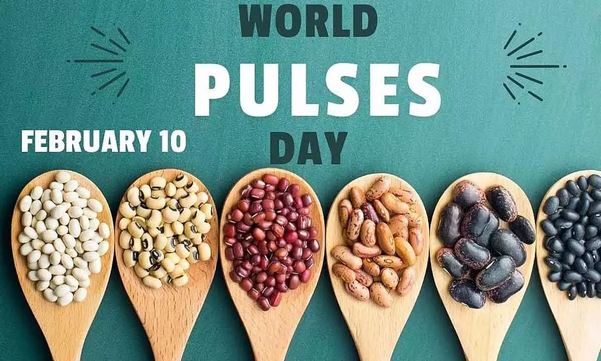 World Pulses Day 2025: History, Significance, Celebrations, and More World Pulses Day 2025: History, Significance, Celebrations, and More