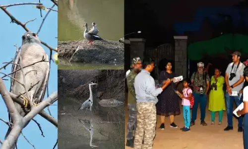 Telangana Forest Development Corporation to Host Bird Walks in Vikarabad and Gajwel Forests