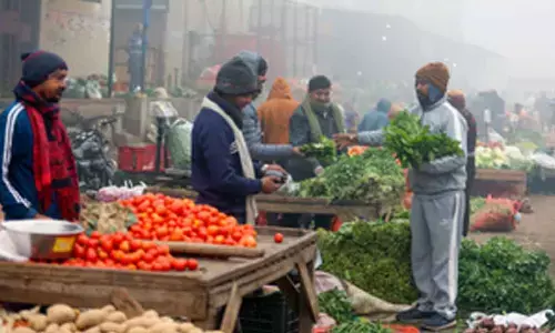 PMKSY cold chain scheme cuts wastages in vegetables, dairy, fisheries