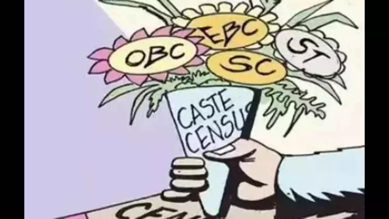 Dedicated panel submits BC quota report to govt