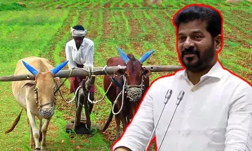 Rythu Bharosa balm for 30 lakh farmers in TG