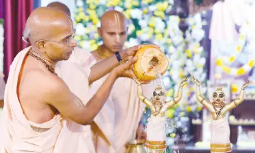 Sri Nityananda Trayodashi festival celebrated