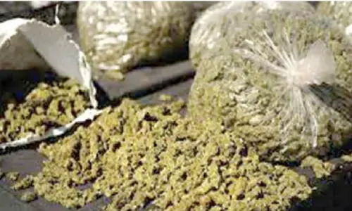 Telangana Excise Officials Seize Over 26 Kg of Ganja on Konark Express
