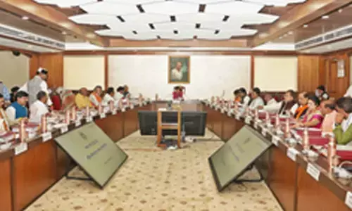 MP cabinet thanks PM Modi and Delhiites for BJPs win