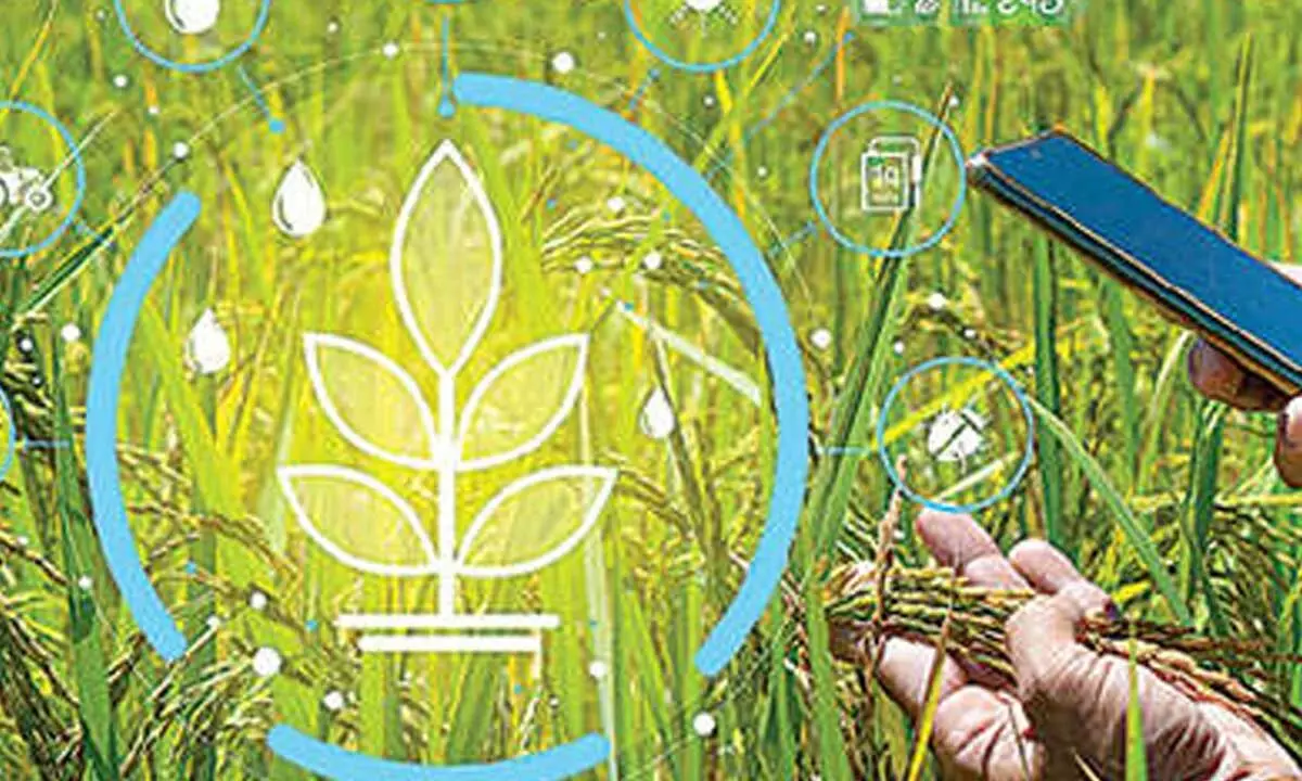 2.05 cr farmer IDs created under Digital Agri Mission 2.05 cr farmer IDs created under Digital Agri Mission