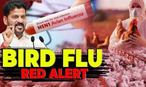 Telangana Government on High Alert Over Bird Flu; 24 Checkposts Set Up
