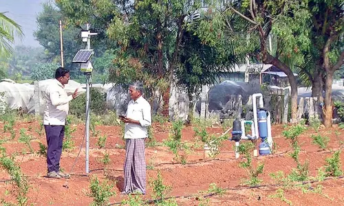 AI technology revolutionises agriculture in Koppal dist
