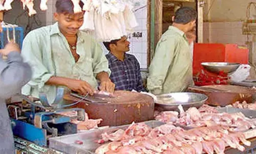 No impact of bird flu on chicken sales