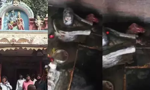 Endowments Min orders probe in temple incident