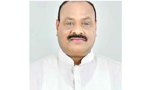 Govt keen to help chilli farmers: Minister