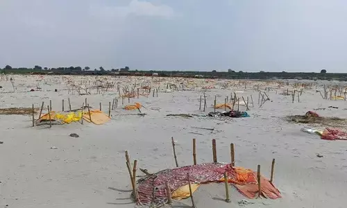 Prayagraj civic body braces for a massive clean-up drive