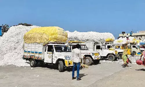 Huge irregularities in cotton procurement exposed
