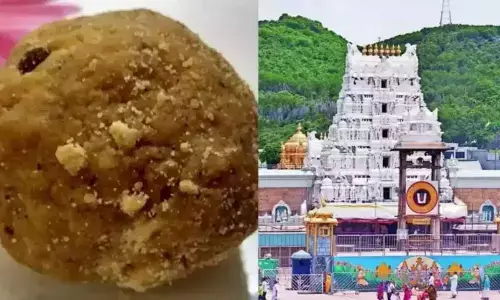 SIT seeks custody of accused in ghee adulteration case