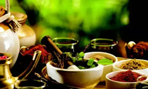 Ayush Ministry’s tie-up with Indonesia to boost quality of traditional meds: Prataprao Jadhav